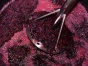 Autobloqueo de vinos: el Gobierno estima alcanzar 80 millones de litros